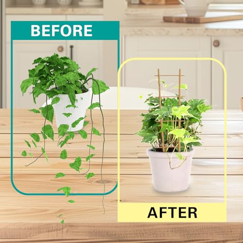 Bamboo Trellis 10 Pack (16in Ladder Shaped, Pack of 10)