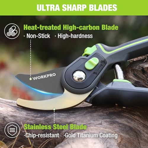 Pruning Shears
