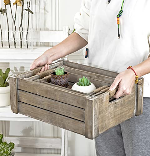 Set of 3 Rustic Wood Nesting Crates (Rustic Gray)