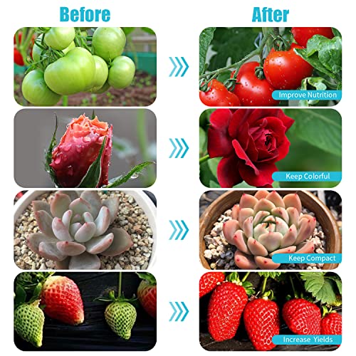 Black Grow Lights for Indoor Plants
