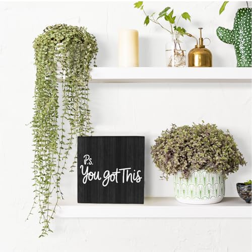 HEYBIG Office Inspirational Desktop Decor (Office)