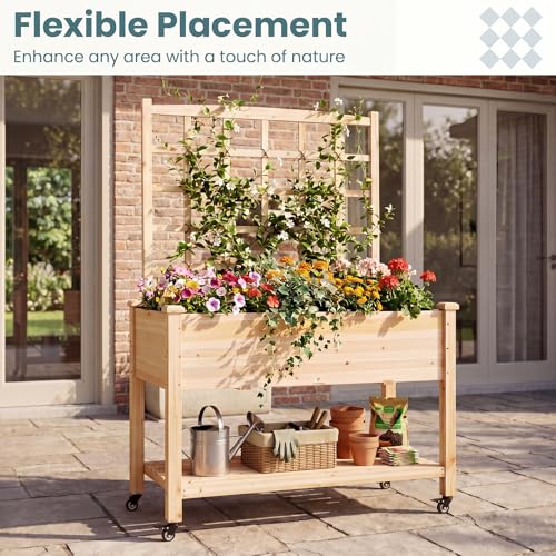 65'' Wooden Raised Garden Bed with Trellis & Legs (47” x 23” x 65”)