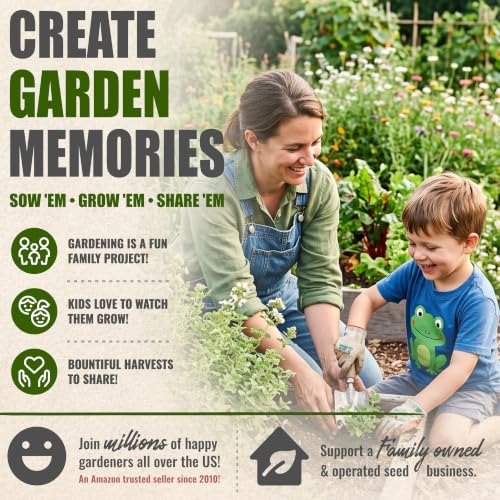 Sweet Marjoram Seeds to Plant Heirloom Non (5 Packs)