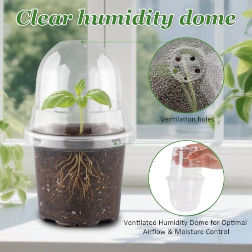 60 Pack Clear Nursery Pots with Humidity Domes (4 Inch Clear Pots With Domes-60p / 4Inch)