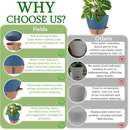2 Pack 10 inch Plant Pots (2 Count)