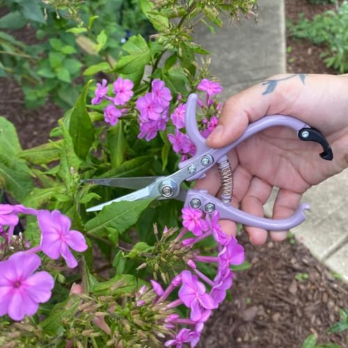 Pruning Shears (Multicolor - 12pcs)