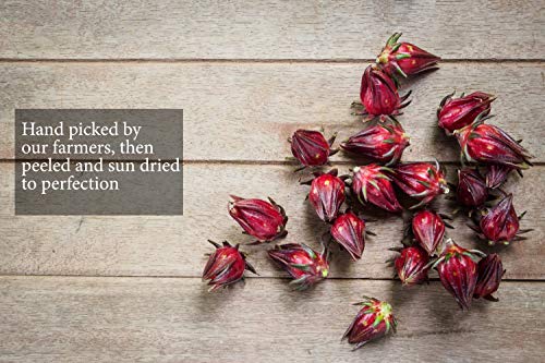 Sorrel Hibiscus Flowers