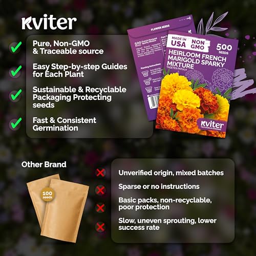 500 French Marigold Heirloom Flower Seeds for Planting
