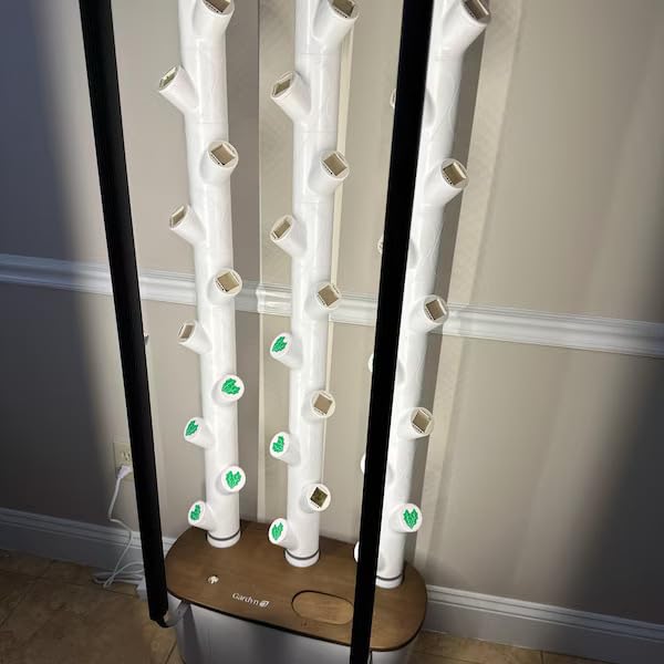 Grow Cubes for Hydroponic System