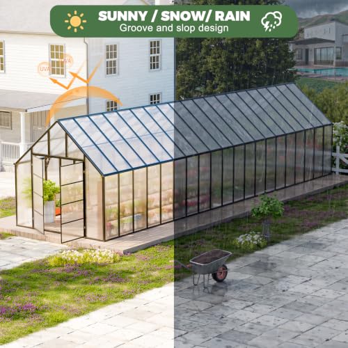 10x40 FT Greenhouse for Outdoors