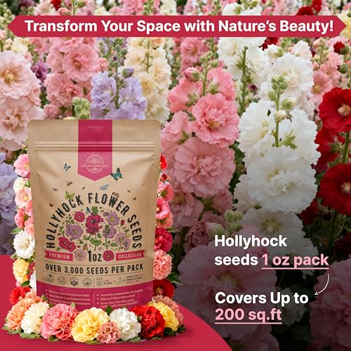 Hollyhock Flower Seeds Pack 1 oz