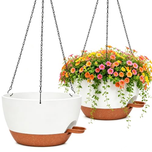 2 Pack 10 Inch Self Watering Hanging Planters for Indoor Plants (2 Count)