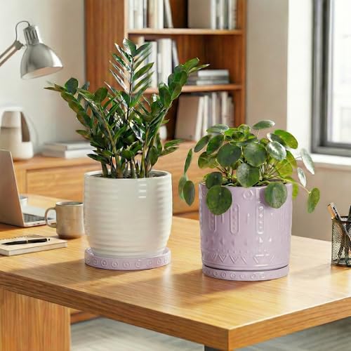 2 Pack Plant Trays for Pots (7.5 Inch (2 Pack) / Purple)
