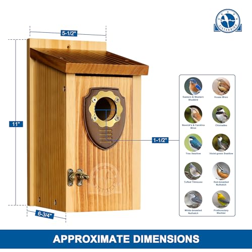 2 Pack Bird House (Medium-roast coffee color -- 2PK)