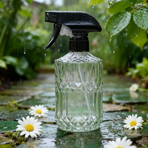 Glass Mister Spray Bottle (Clear)
