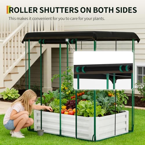 Galvanized Raised Garden Bed with Self Watering System & Mesh Cover (Beige W/ Mesh Cover / 4x3x1 ft)