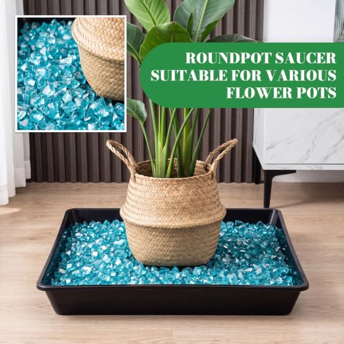 6 Pack Plastic Plant Saucer (Square / 16 Inch / Black)