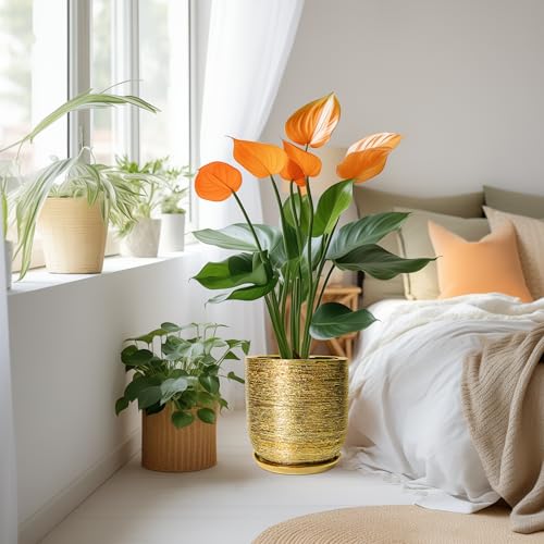 Ceramic Flower Pot for Indoor Plants