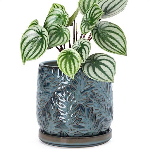 Embossed Leaves Ceramic Planter (6 Inch / Ocean Teal)