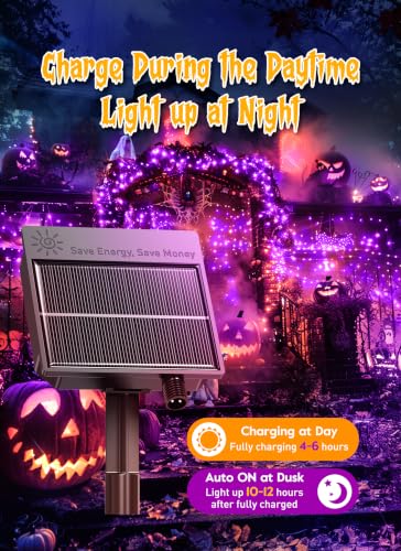 240 LED Solar Halloween Lights Outdoor Waterproof IP65 (Purple / 19.6Ft)
