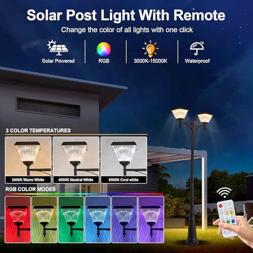2 Head Solar Lamp Post Light with Dusk to Dawn Sensor (XL-2-S)