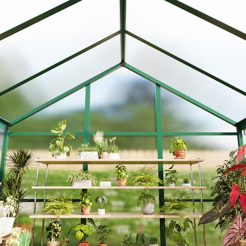 6x8 FT Greenhouse for Outdoors (Green / 6x8 FT)
