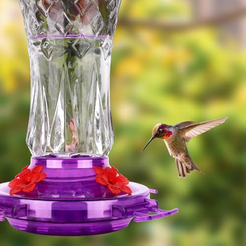 Glass Hummingbird Feeders for Outdoors
