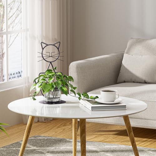 Plant Propagation Station (Jklw-hand Cat)