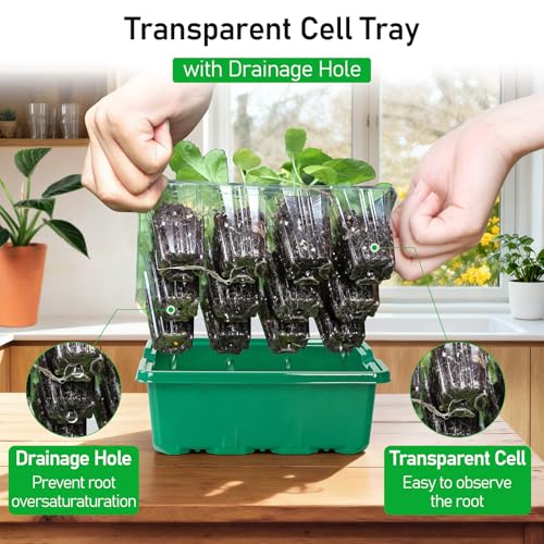 10 Pack Seed Starter Tray (Green / 12 Cell-10 Packs Elevated Cover)
