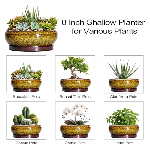 Succulent Planters 8 Inch (8 Inch / Leopard Yellow)