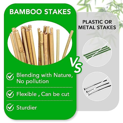 75 Pack 4ft Garden Bamboo Stakes for Plant Support (75 Count)