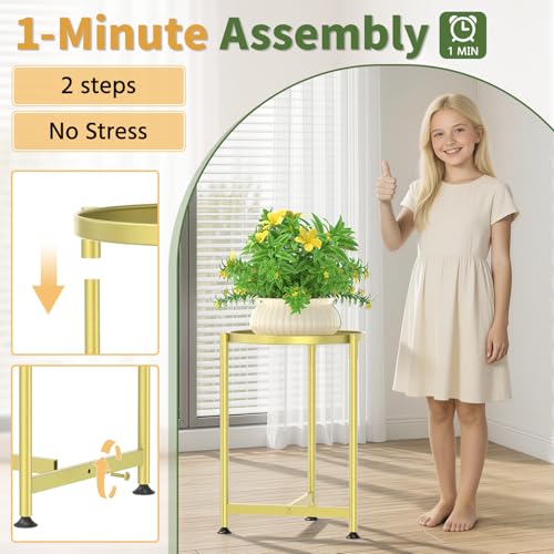 Metal Small Plant Stand Indoor Tall with 11 Inch Large Tray (Antique Gold / 1 Tier)