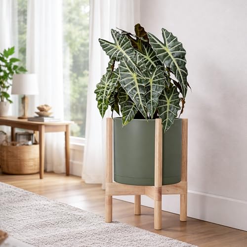 Plastic Pot with Natural Wood Stand (Olive Pot + Natural Stand / 10 Inch)