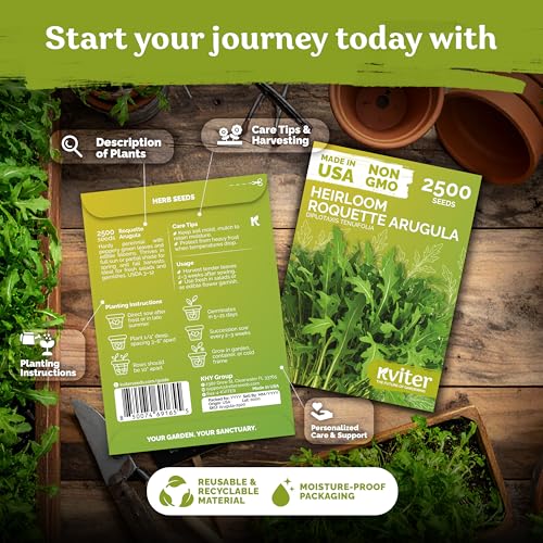 2 500 Roquette Arugula Heirloom Herb Seeds