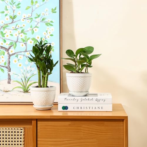 Sureasy Ceramic Plant Pots (4 Count)