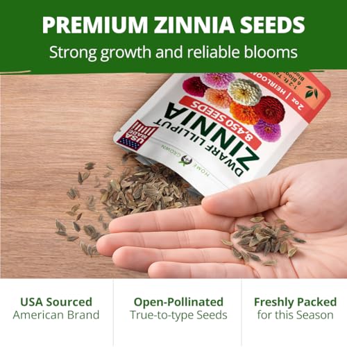 Lilliput Mix Zinnia 8450 Flower Seeds Zinnia elegans