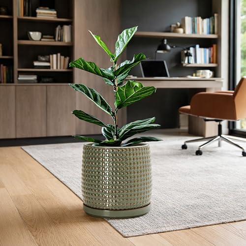Beaded Ceramic Pot with Saucer (10.2 Inch / Olive)