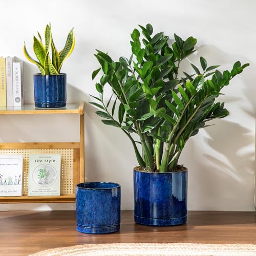 Ceramic Planters (3 Count)