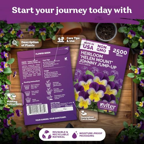 2 500 Johnny Jump Heirloom Flower Seeds for Planting