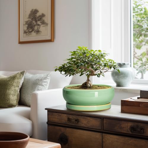 10 Inch Bonsai Tree Pots (10 Inch / Light Green)