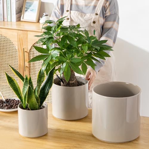 6"+8"+10" Ceramic Pot for Plants (Gray / 6+8+10 Inch)