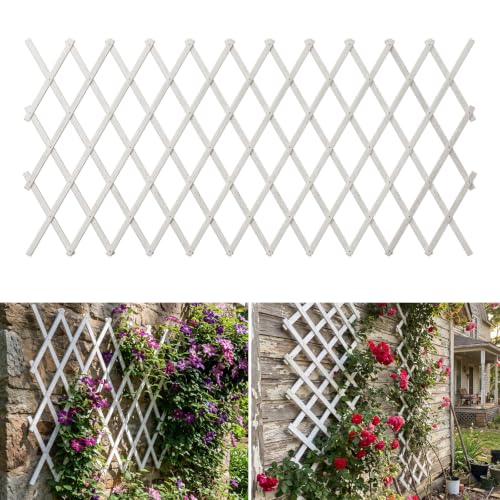 Expandable Garden Trellis (White / 38"x89")
