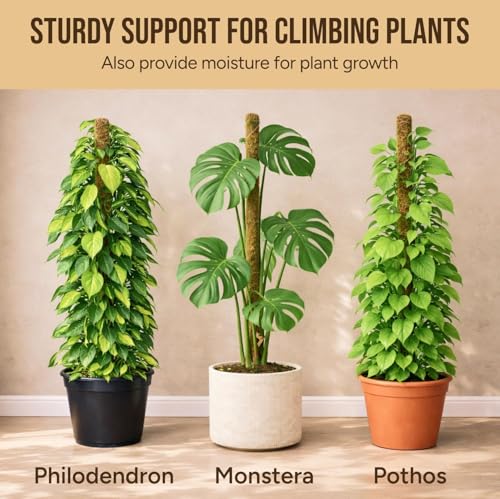 30" Moss Pole Monstera Plant Support (2-Pack (30 in))