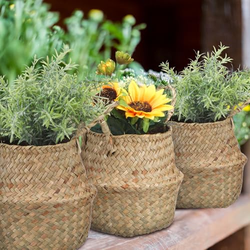 4 Pcs Woven Seagrass Baskets Belly Basket (XXS,6.3''Dx5.5''H)