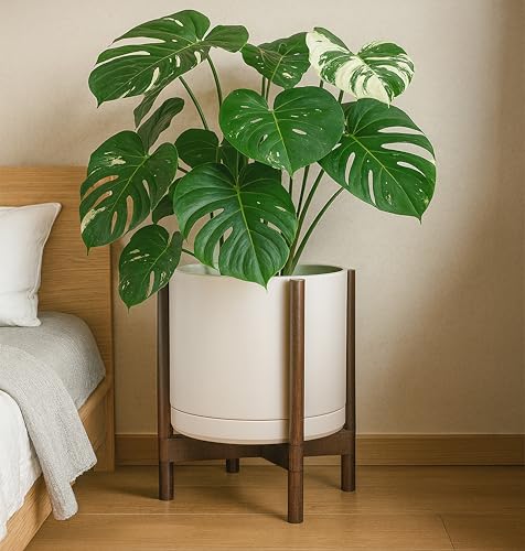Ceramic Pot with Walnut Wood Stand (14 Inch / Oatmeal Pot + Walnut Color Stand)