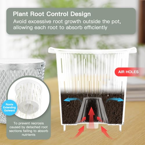Hanging Planters for Indoor Plants (Clear / 5.7in)