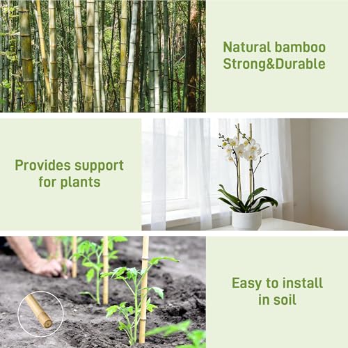 50Pcs Garden Stakes (50 Count)