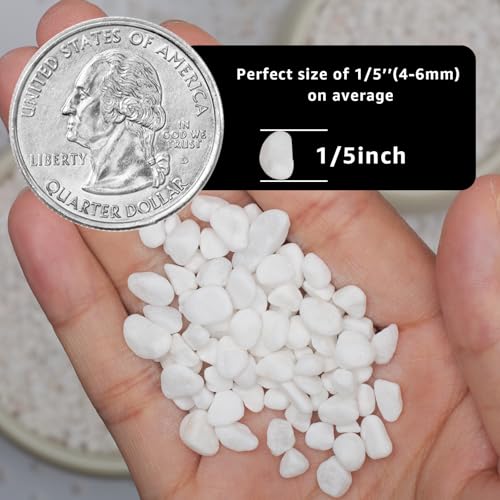 5lbs Natural Gravel Pebbles for Succulents and Cacti