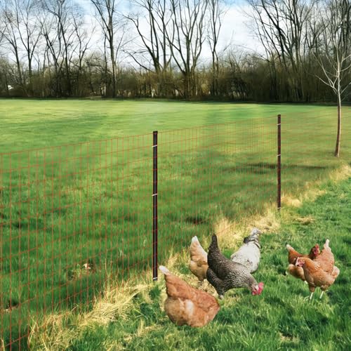 Red PVC Coated Welded Wire Fence 36" x 50' Roll (Red / 2''x4'' 14GA 36''x50')