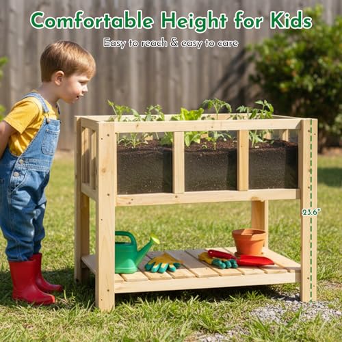 Raised Garden Bed with Transparent Acrylic Side Panels (28" x 15"x 24")